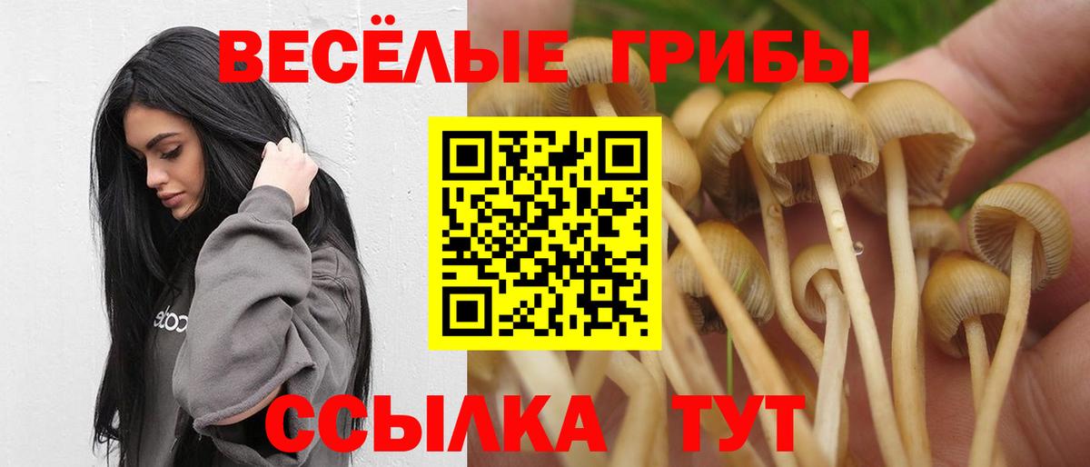 Галлюциногенные грибы прущие грибы  Вход с VPN  Тимашёвск  Галлюциногенные грибы ЛСД 